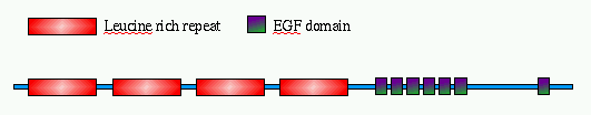 domains_map